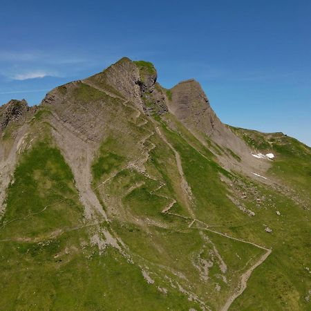 Aparthotel Alpinresort 达米尔斯 外观 照片